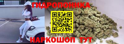 гидра Ставрополь
