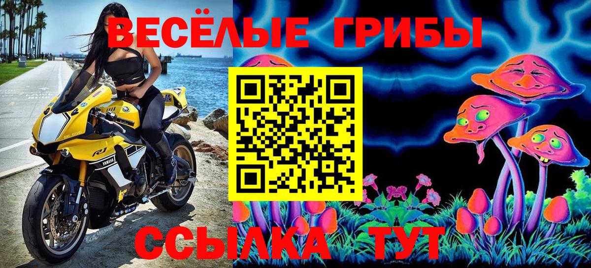 Псилоцибиновые грибы Magic Shrooms Ртищево