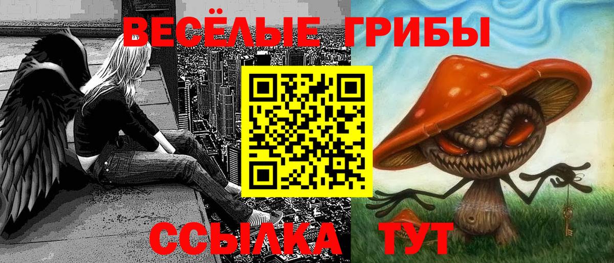 Ртищево  Галлюциногенные грибы ЛСД  Вход с VPN  Галлюциногенные грибы GOLDEN TEACHER 